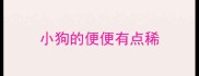 小狗的便便有点稀