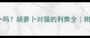 猫咪能吃胡萝卜吗胡萝卜对猫的利弊全附正确喂食指南
