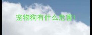 宠物狗有什么危害