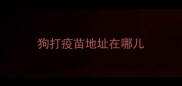狗打疫苗地址在哪儿