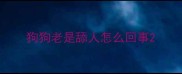 狗狗老是舔人怎么回事