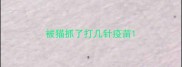 被猫抓了打几针疫苗