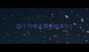 四个月哈士奇能吃多少