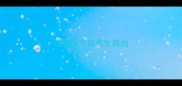 边牧属于容易生病的