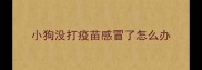小狗没打疫苗感冒了怎么办