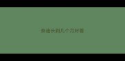 泰迪长到几个月好看