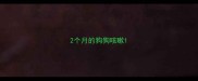 2个月的狗狗咳嗽