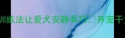 泰迪犬不叫的秘诀5步训练法让爱犬安静乖巧养宠干货泰迪训练宠物行为矫正