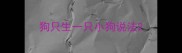 狗只生一只小狗说法