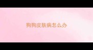 狗狗皮肤病怎么办