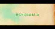 什么时候给金毛打虫