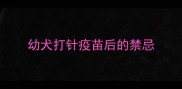 幼犬打针疫苗后的禁忌