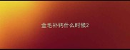 金毛补钙什么时候
