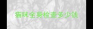 猫咪全身检查多少钱