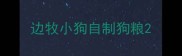 边牧小狗自制狗粮