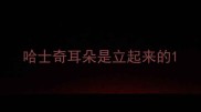 哈士奇耳朵是立起来的