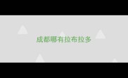 成都哪有拉布拉多