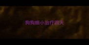 狗狗细小治疗四天