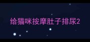 给猫咪按摩肚子排尿