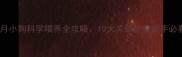 满月小狗科学喂养全攻略10大关键步骤新手必看