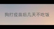 狗打疫苗后几天不吃饭