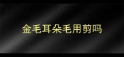 金毛耳朵毛用剪吗
