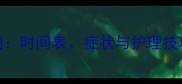 边牧换牙全指南时间表症状与护理技巧附对比图