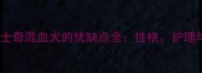阿拉斯加哈士奇混血犬的优缺点全性格护理与饲养指南