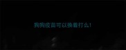 狗狗疫苗可以换着打么
