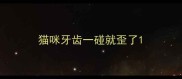 猫咪牙齿一碰就歪了