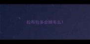 拉布拉多会掉毛么