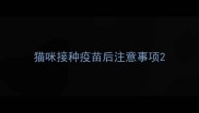 猫咪接种疫苗后注意事项