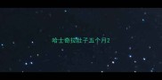 哈士奇拉肚子五个月
