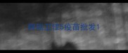 辉瑞卫佳5疫苗批发