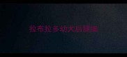 拉布拉多幼犬后腿细