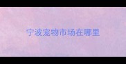 宁波宠物市场在哪里