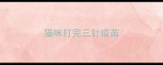 猫咪打完三针疫苗