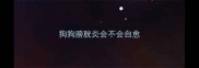 狗狗膀胱炎会不会自愈