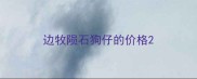 边牧陨石狗仔的价格