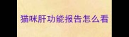 猫咪肝功能报告怎么看
