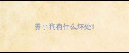 养小狗有什么坏处