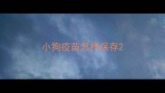 小狗疫苗怎样保存