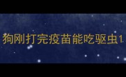 狗刚打完疫苗能吃驱虫
