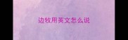 边牧用英文怎么说