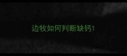 边牧如何判断缺钙
