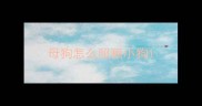 母狗怎么照顾小狗