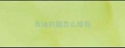 泰迪的腿怎么修剪