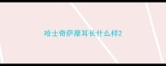 哈士奇萨摩耳长什么样