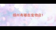 扬州有哪些宠物店