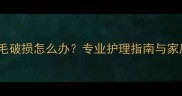 泰迪犬鼻子脱毛破损怎么办专业护理指南与家庭急救方法全